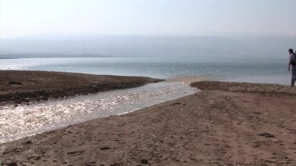 Jourdain Jetant Dans Mer Morte Israël — Video