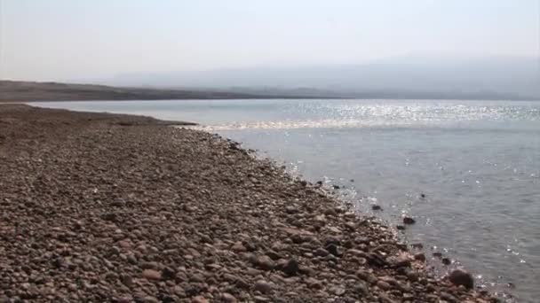 Río Jordán Desemboca Mar Muerto Israel — Vídeos de Stock