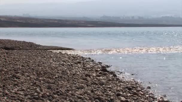 Jordanischer Fluss Fließt Totes Meer Israel — Stockvideo