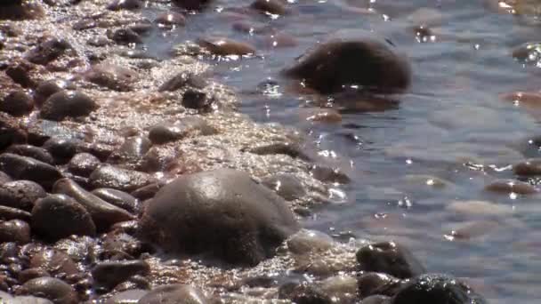 死海の塩の水 イスラエルの表示を閉じる — ストック動画