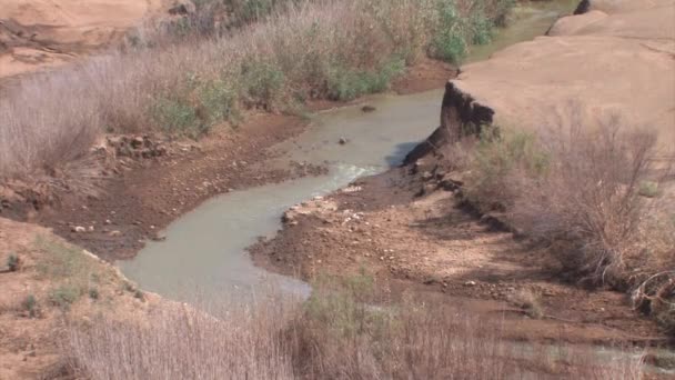 Ürdün Nehri Dead Sea Srail Görünümünü — Stok video