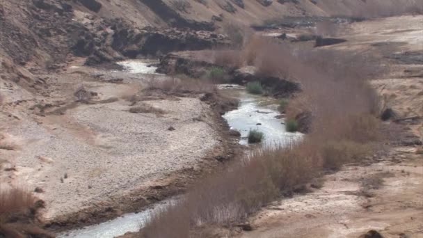 Doğal Görünümünü Jordan River Gorge Srail — Stok video