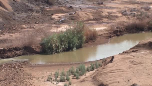 Schilderachtig Uitzicht Rivier Jordaan Gorge Israël — Stockvideo