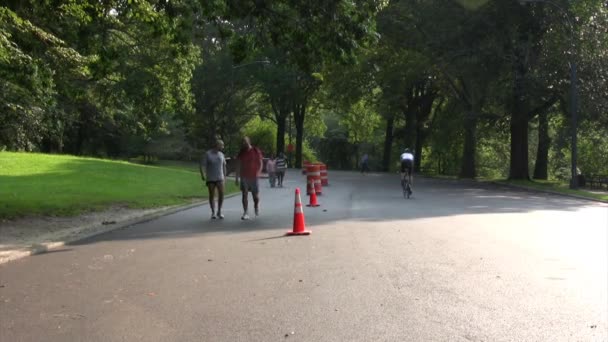 纽约中央公园的人们慢跑 — 图库视频影像