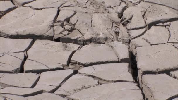 Trockener Gebackener Schlamm Jordanischen Fluss Island — Stockvideo