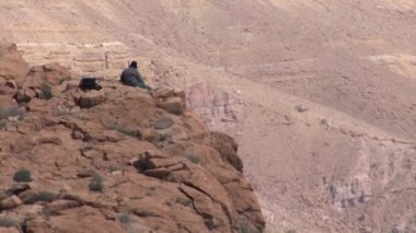 Cliff Ramon krater, Necef dağlar, İsrail üzerinde oturan adam