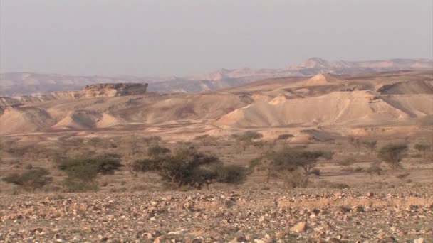Vista Panorámica Del Paisaje Wadi Valle Arava Israel — Vídeo de stock