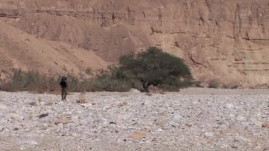 Wadi Nekarot, Necef dağlar, İsrail yürüyüş uzun yürüyüşe çıkan kimse