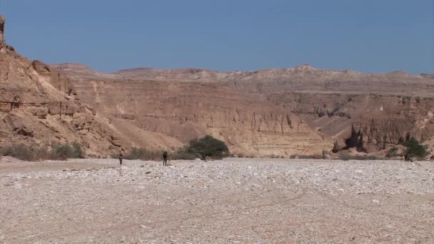 ワディ Nekarot ネゲブ山 イスラエルで歩くハイカー — ストック動画