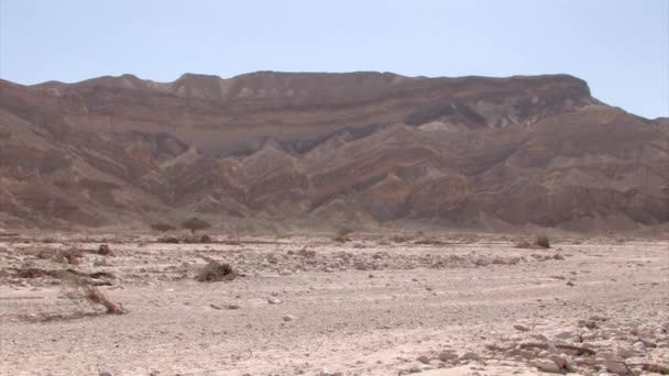 Panoramik Kuru Negev Çölü Manzara Srail — Stok video