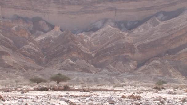 Panoramic View Dry Negev Desert Landscape Israel — Stock Video