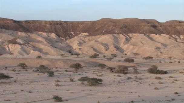 Vista Panorámica Del Paisaje Seco Del Desierto Del Negev Israel — Vídeo de stock