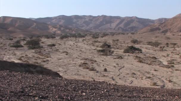 Panoramic View Dry Negev Desert Landscape Israel — Stock Video