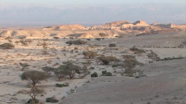 Panoramiczny Widok Suchej Pustyni Negev Krajobraz Izrael — Wideo stockowe