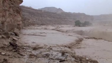Wadi Zeelim, Negev Çölü, İsrail ani sel doğal görünümünü