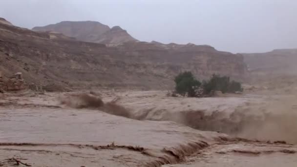 Veduta Panoramica Delle Inondazioni Nel Wadi Zeelim Deserto Del Negev — Video Stock