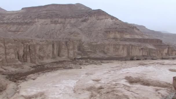 Wadi Zeelim Negev Çölü Srail Ani Sel Doğal Görünümünü — Stok video