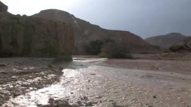Wadi Nekarot, Negev Çölü, İsrail ani sel doğal görünümünü