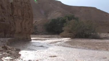 Wadi Nekarot, Negev Çölü, İsrail ani sel doğal görünümünü