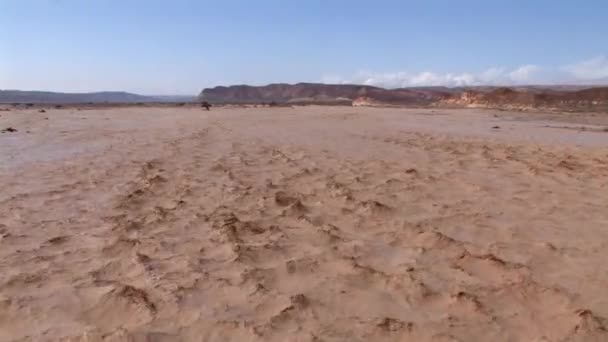 Γραφική Θέα Από Πλημμύρες Λάμψη Στο Wadi Nekarot Έρημο Negev — Αρχείο Βίντεο