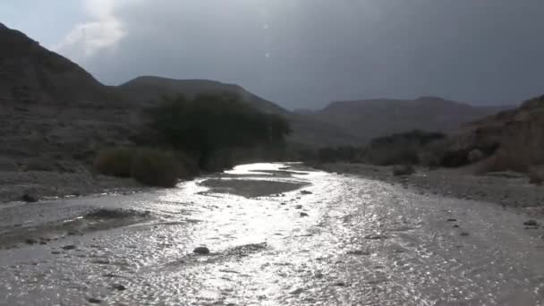 Vista Panorâmica Inundação Wadi Nekarot Deserto Negev Israel — Vídeo de Stock