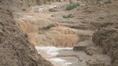 Ani sel Judea Çölü, İsrail'in görünümü