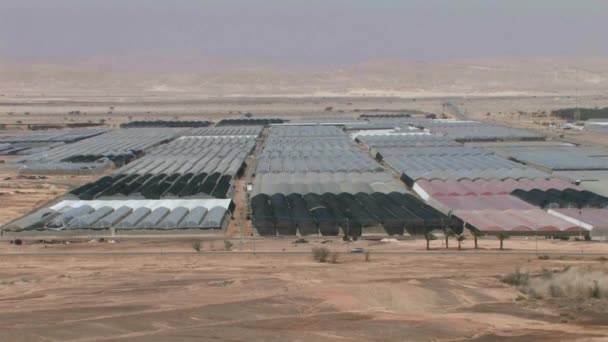 View Greenhouses Arava Valley Israel — Stock Video