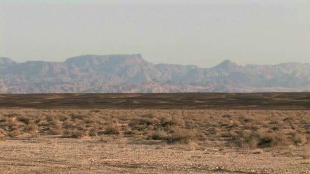 Panoramautsikt Över Wadi Landskap Arava Valley Israel — Stockvideo