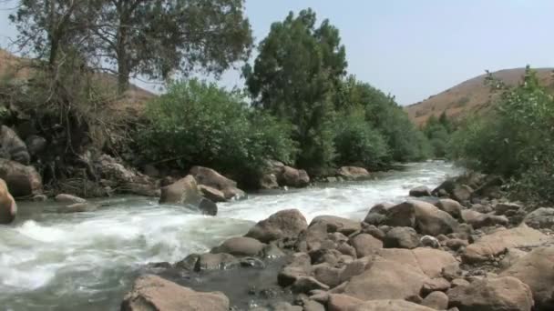 Utsikt Över Jordanfloden Döda Havet Israel — Stockvideo