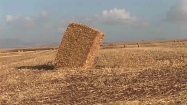 Haystack Голанских Высотах Поле Израиль — стоковое видео