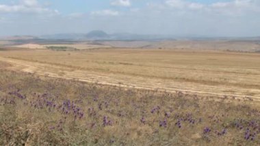 Panoramik Mount Tabor peyzaj, Galilee, İsrail