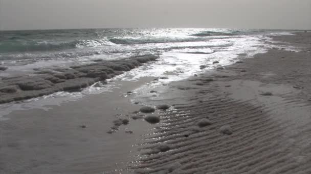 Zavřít Pohled Krystalů Soli Mrtvého Moře Izrael — Stock video
