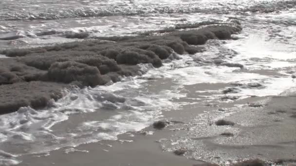 Vista Cercana Los Cristales Sal Del Mar Muerto Israel — Vídeo de stock