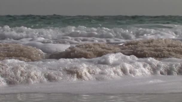 Stäng Vyn Salt Kristaller Döda Havet Israel Isr — Stockvideo