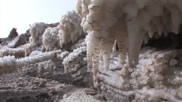 Vue Rapprochée Des Cristaux Sel Mer Morte Israël — Video