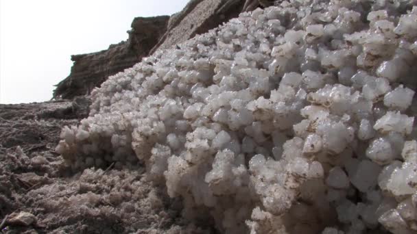 Stäng Vyn Salt Kristaller Döda Havet Israel Isr — Stockvideo