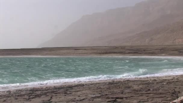 Dead Sea Beach Rüzgarlı Havalarda Dalgalar Ile — Stok video