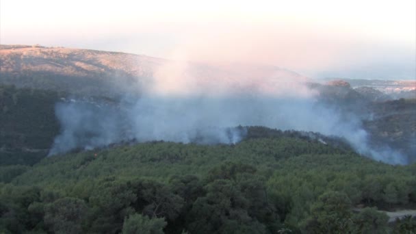 Vue panoramique du grand feu de forêt sur le mont Carmel, Israël 
