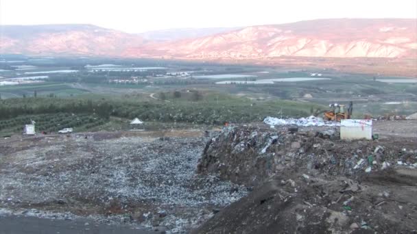 以色列约旦河谷垃圾尖端的拖拉机和海鸥 — 图库视频影像