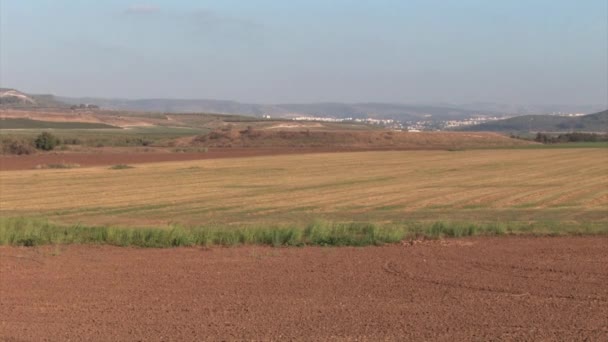 Colpo Costante Dal Sud Israele Campo Paesaggio — Video Stock