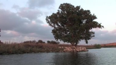 Atış, ağaç Kishon nehir, İsrail kıyısında yelken