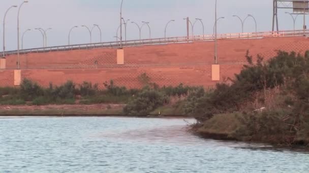 Vista Desde Barco Vela Río Kishon Haifa Israel — Vídeo de stock