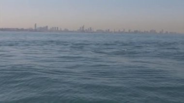 Yüzme ve su mavi denizi, İsrail üzerinden atlama ortak yunuslar