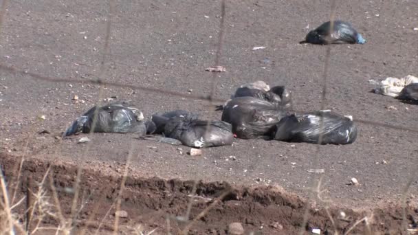 Çöp Torbaları Çit Jordan Valley Israel Arkasında Yolda — Stok video