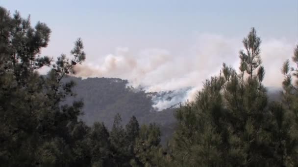 Malerischer Blick Auf Großen Waldbrand Auf Mount Carmel Island — Stockvideo