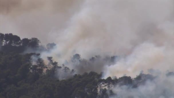 Vista Panorámica Del Gran Incendio Forestal Monte Carmelo Israel — Vídeo de stock