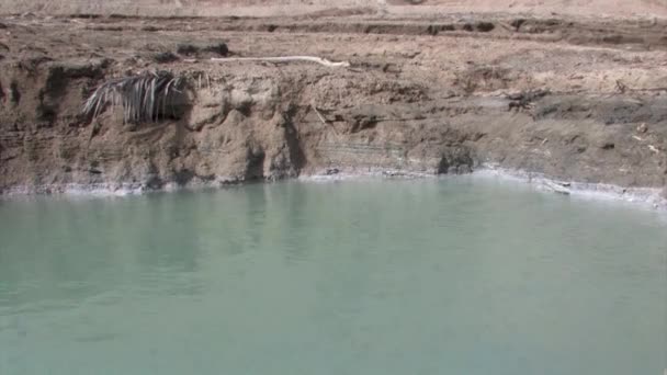 Blick Auf Schlamm Und Wasser Des Toten Meeres Island — Stockvideo