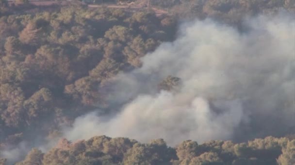 Vue panoramique du grand feu de forêt sur le mont Carmel, Israël 