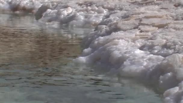 Close View Dead Sea Salt Formations Chunks Israel — Stock Video