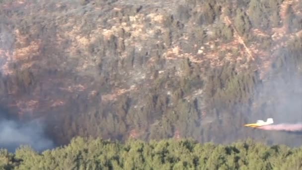 Löschflugzeug Sprüht Feuerlöscher Auf Brennenden Wald Mount Carmel Island — Stockvideo